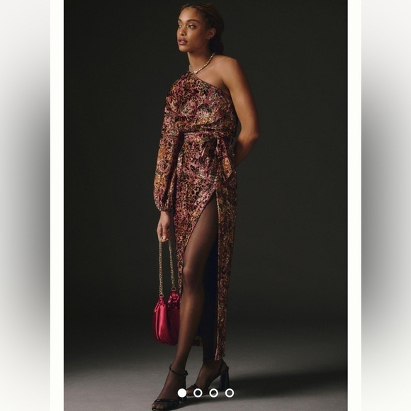 Hemant & Nandita Velvet Burnout Dress - Picture 1 of 10